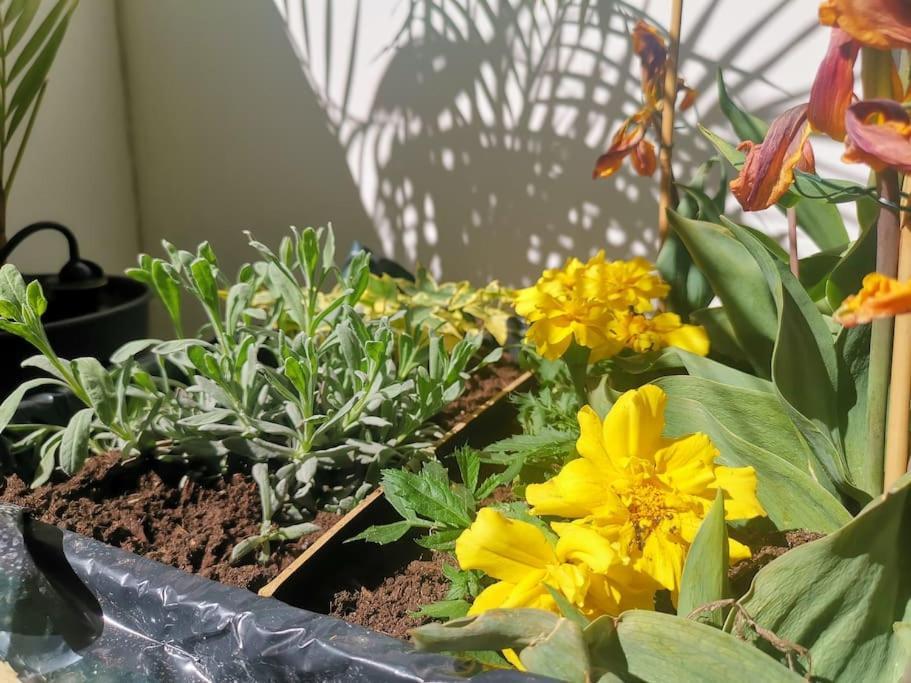 Chez Habitant Proche Metro Homestay
